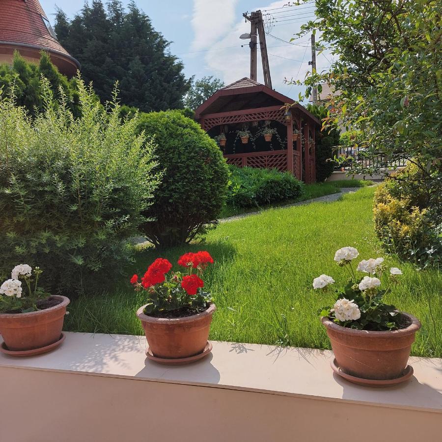 Erika Apartmanhazak Heviz Luaran gambar